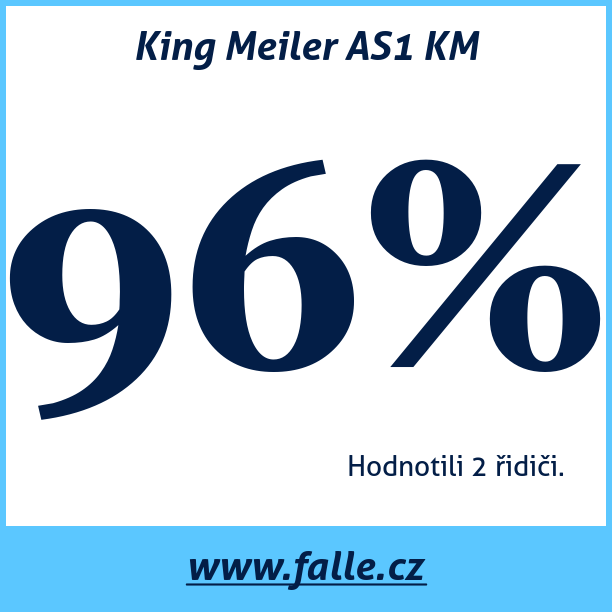 Test pneumatik King Meiler AS1 KM